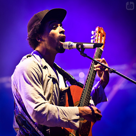 patrice bart-williams | patrice