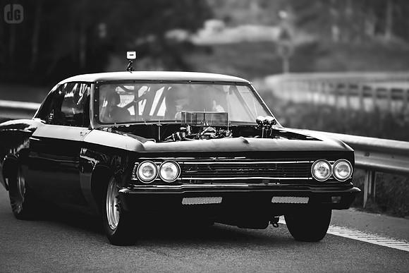 _MG_9380_DRV