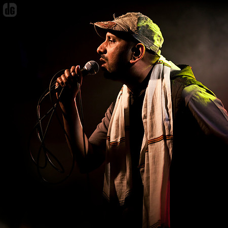 parvez | vibronics